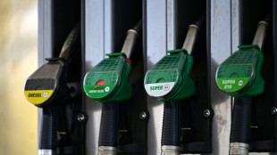 Bundestag stimmt f&uuml;r Tankrabatt ab 1. Mai