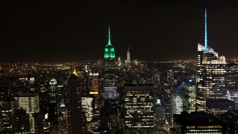 Les lumi&egrave;res de New York sous le feu des associations &eacute;cologistes