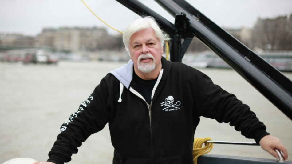 Dinamarca libera al defensor de las ballenas Paul Watson tras negarse a extraditarlo a Jap&oacute;n