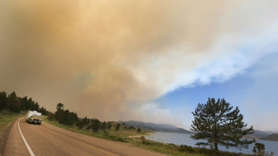Un estadounidense provoca un incendio forestal al intentar quemar una ara&ntilde;a