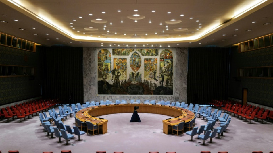 Gaza: le vote du Conseil de s&eacute;curit&eacute; encore report&eacute;