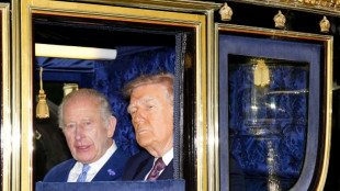 Accueil royal somptueux &agrave; Windsor pour Trump en visite d'Etat