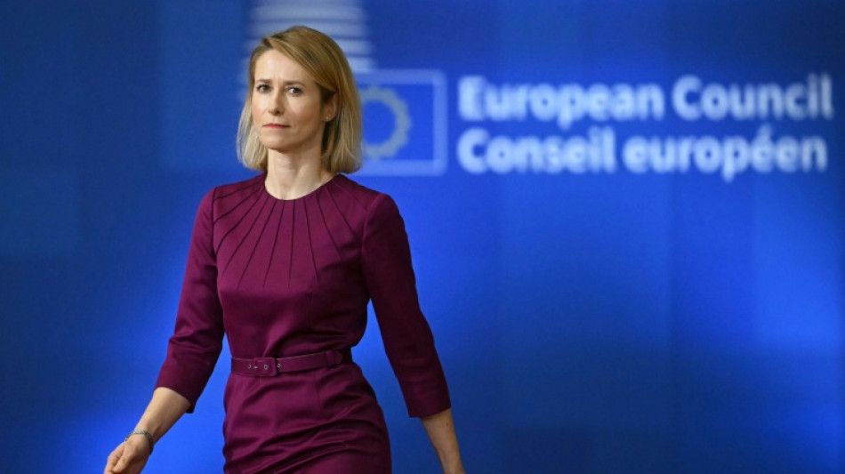 La OTAN debe volverse "m&aacute;s europea" en momentos en que Trump trastoca los lazos con el bloque