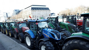 "Il faut que &ccedil;a change!": Bruxelles, &eacute;picentre de la col&egrave;re agricole