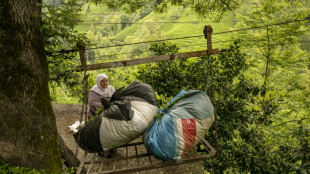 Dans les montagnes &agrave; th&eacute; de Turquie, les t&eacute;l&eacute;ph&eacute;riques de la peur