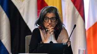 Relatora da ONU para os territórios palestinos diz que sanções dos EUA 'violam' sua imunidade