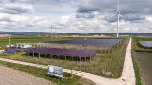 Aias, dall'agrivoltaico ricadute 1,7 miliardi ad agricoltura