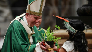 La defensa de la Amazon&iacute;a, la gran batalla del papa Francisco