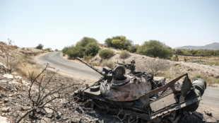 Ethiopie: l'aviation bombarde la capitale du Tigr&eacute; rebelle