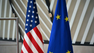 Bundesregierung weist Kritik an Europa in US-Sicherheitsstrategie zurück