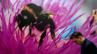 Acuerdo hist&oacute;rico sobre biodiversidad en COP15 de Montreal