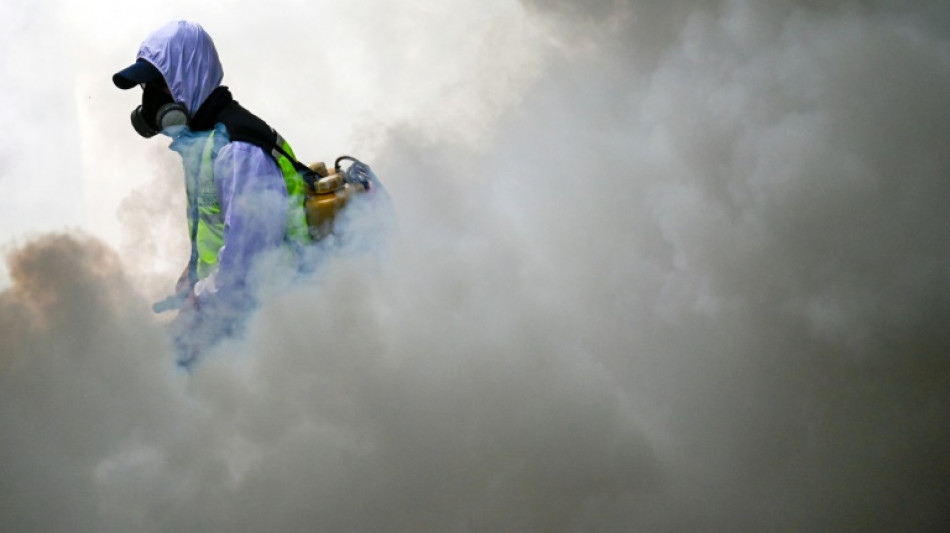 Guatemala declares dengue health emergency