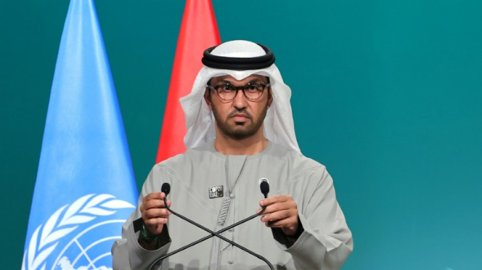 Los principales puntos del acuerdo de la COP28 de Dub&aacute;i