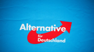 Verfassungsschutz stuft AfD-Nachwuchsorganisation als "rechtsextremistisch" ein