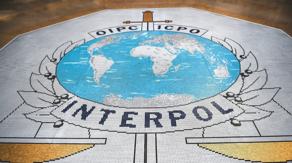 Interpol identifica a "la mujer de rosa", hallada muerta en Espa&ntilde;a hace 20 a&ntilde;os
