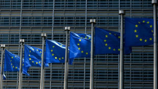 L'UE ouvre la voie &agrave; des "hubs de retours" pour migrants