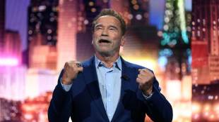 "Happy end" pour la montre de Schwarzenegger apr&egrave;s un incident douanier