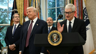 Trump k&uuml;ndigt 100 Prozent Z&ouml;lle auf Chips und Halbleiter an