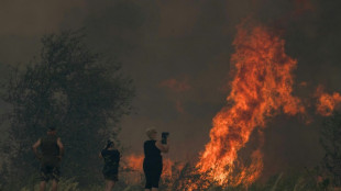 Incendie dans l'Aude: 10.000 hectares détruits, neuf blessés, l'A9 fermée