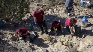 La pi&ugrave; antica impronta di un rettile riscrive l'evoluzione