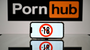 Big-name porn sites black out in France over age checks