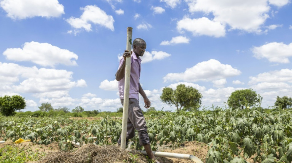 Can cash handouts replace aid? Kenya offers some answers