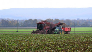 EU ready to tax Russian fertilisers from July
