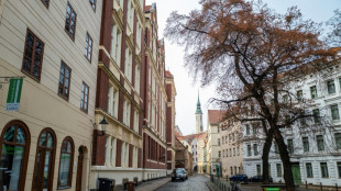 29 Syrer auf Ladefl&auml;che von Transporter in Sachsen nahe polnischer Grenze entdeckt