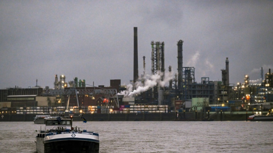 German investors cheered by tariff talks, new government