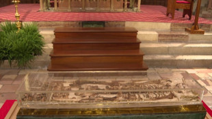 Miles de peregrinos visitan las reliquias de San Francisco de As&iacute;s en Italia