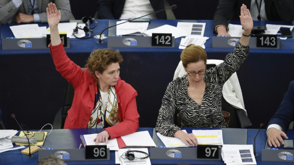 El Parlamento Europeo rechaza una normativa contra el cambio clim&aacute;tico criticada por los Verdes
