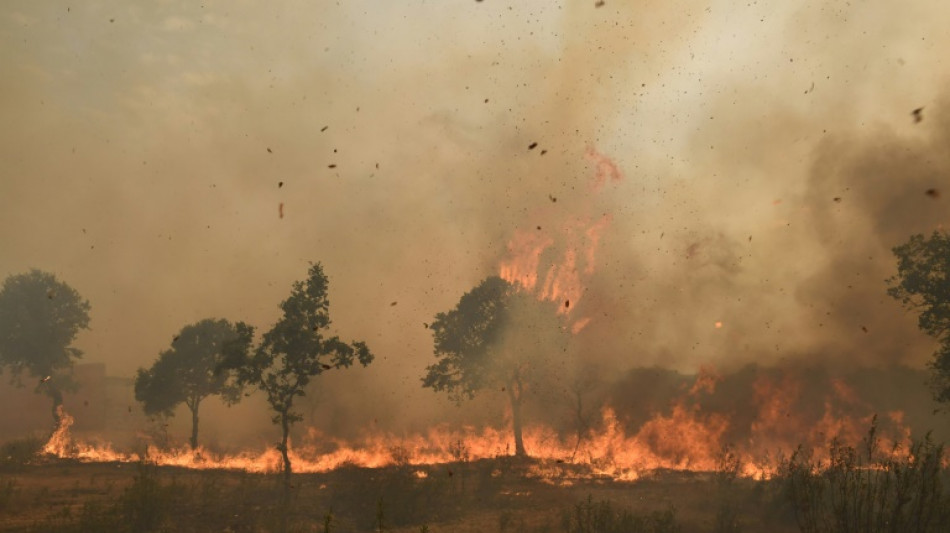 La superficie quemada por los incendios forestales en la UE super&oacute; a la de 2021