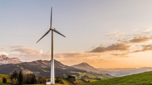Dell'Acqua (Arera), su energia sanzioni non bastano, serve transizione