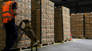 La investigaci&oacute;n de Sky ECC expuso los m&eacute;todos de los narcotraficantes en Europa