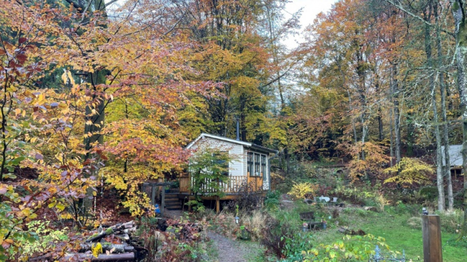 Suécia aposta no silêncio de suas florestas como antídoto para o ruído do mundo