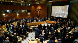 'Não há alternativa' à solução de dois Estados no conflito israelense-palestino, diz França