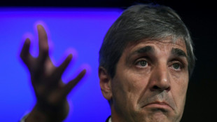 Argentine : Milei nomme un expert en finance &agrave; l'Economie mais avertit d'une stagflation &agrave; venir