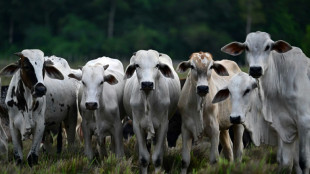 La OMSA declara a Brasil libre de fiebre aftosa sin vacunación