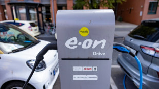 Allemagne: la fin du bonus &agrave; l'achat d'un v&eacute;hicule &eacute;lectrique, mauvais coup pour l'industrie automobile