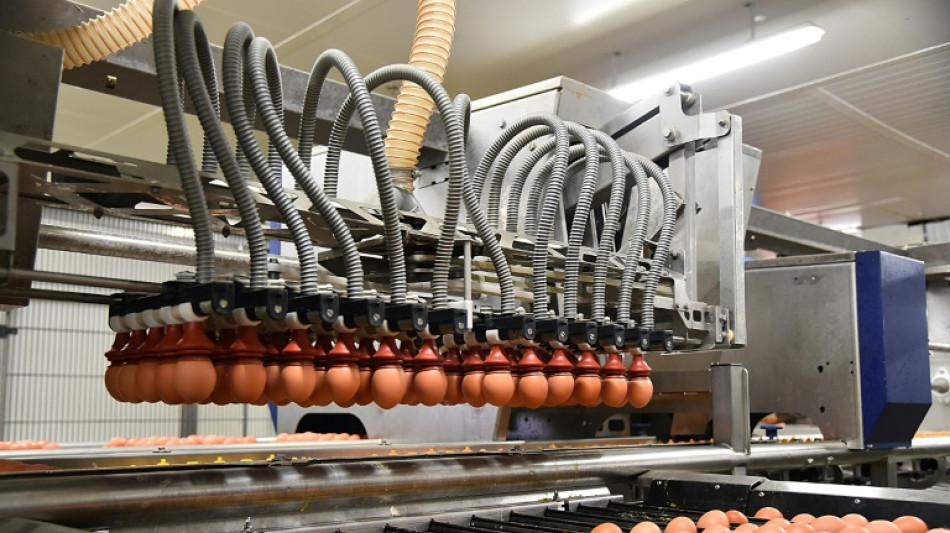 Les Fran&ccedil;ais mettent plus d'oeufs dans leur panier 