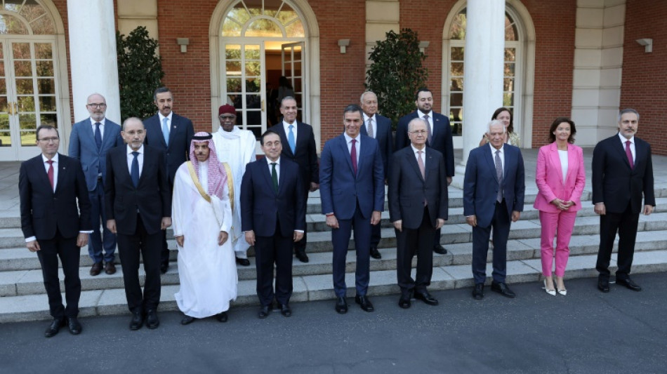 Nahost-Konflikt: Europ&auml;ische und arabische Staaten dringen auf Zweistaatenl&ouml;sung