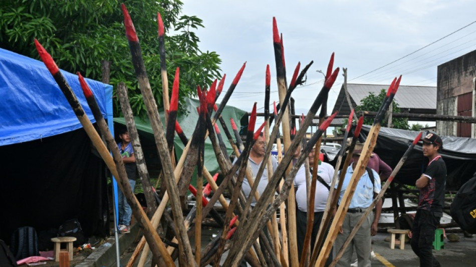 Lauca E&ntilde;e: el feudo inexpugnable de Evo Morales en Bolivia 