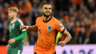 Netherlands qualify for World Cup, Poland in play-offs