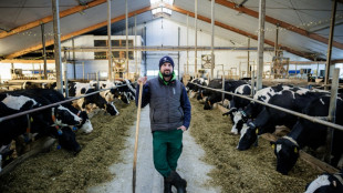 Le malaise des petits exploitants nourrit la col&egrave;re agricole en Allemagne