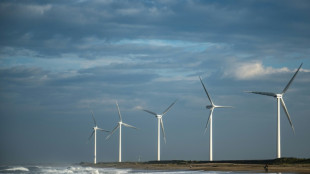 Japan confident on wind power after Mitsubishi blow
