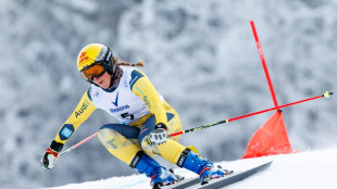 Skicross: Hronek siegt trotz Sturz - Maier patzt