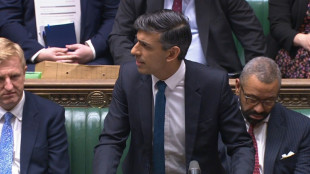 Suprema Corte brit&acirc;nica derruba plano do governo de expulsar migrantes para Ruanda