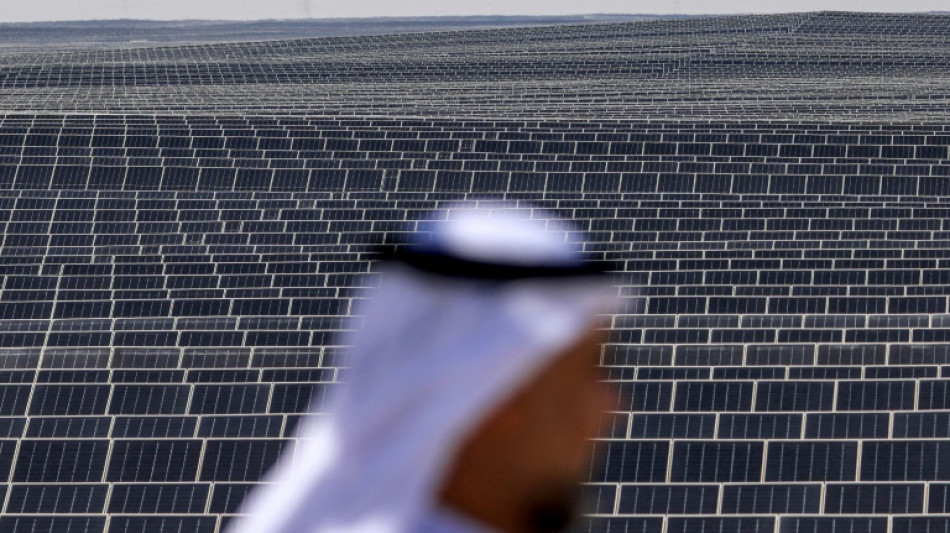 Emiratos &Aacute;rabes inaugura una de las mayores centrales solares del mundo
