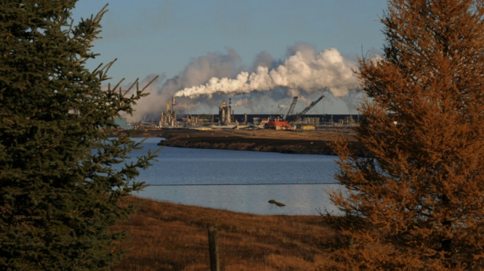 &iquest;Qu&eacute; obligaci&oacute;n tienen las empresas de publicar sus balances de carbono?