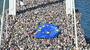 Miles de personas participan en la Marcha del Orgullo de Budapest pese a la prohibici&oacute;n de Orban